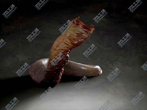 images/goods_img/20210312/Worm creature/3.jpg